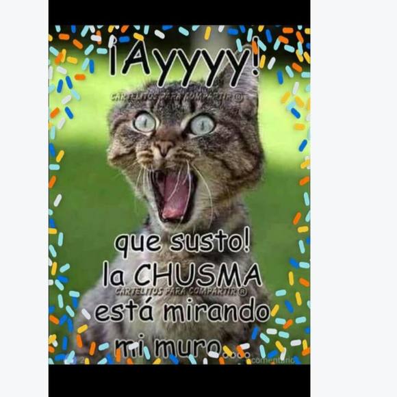 Meet your Posher, Abril - Picture 1 of 1